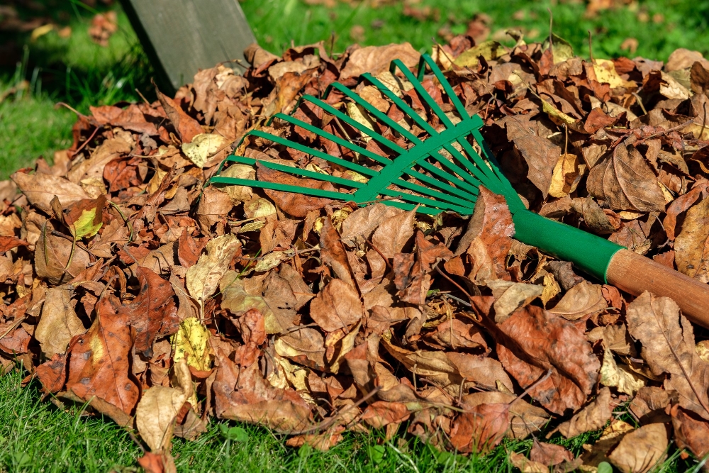 Garden Clearance Manchester